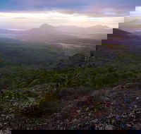 Cunninghams Gap and Spicers Gap Main Range National Park - Tourism Gold Coast