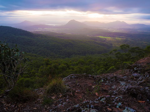 Cunninghams Gap And Spicers Gap, Main Range National Park - Tourism Gold Coast 0