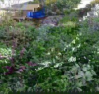Down to Earth Permaculture - Tourism Gold Coast