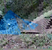 England Creek Bush Camp - Tourism Gold Coast