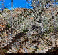 Eualdrie Walking Track - Gold Coast