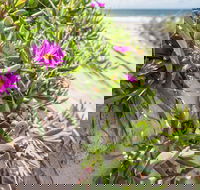 Fort Bribie - Tourism Gold Coast