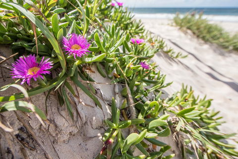 Fort Bribie - Tourism Gold Coast 0