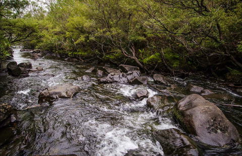 Gloucester River Walking Track - Tourism Gold Coast 0