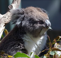 Gorge Wildlife Park - Tourism Gold Coast