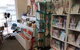 Goulburn Soap World - thumb 2