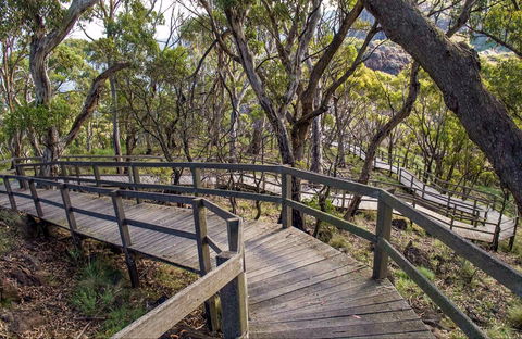 Governor Summit (Corrunbral Borawah) Walking Track - Gold Coast 0