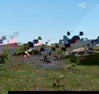 Jim Salmon  Wetland Education Site - Tourism Gold Coast