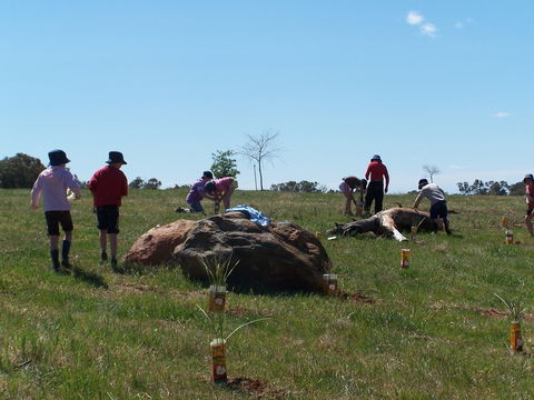 Jim Salmon  Wetland Education Site - Tourism Gold Coast 0