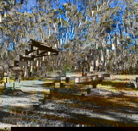 Kaiserstuhl Conservation Park - Tourism Gold Coast