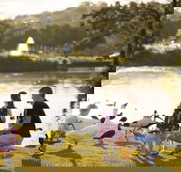 Lake Alford Recreational Park - Gold Coast