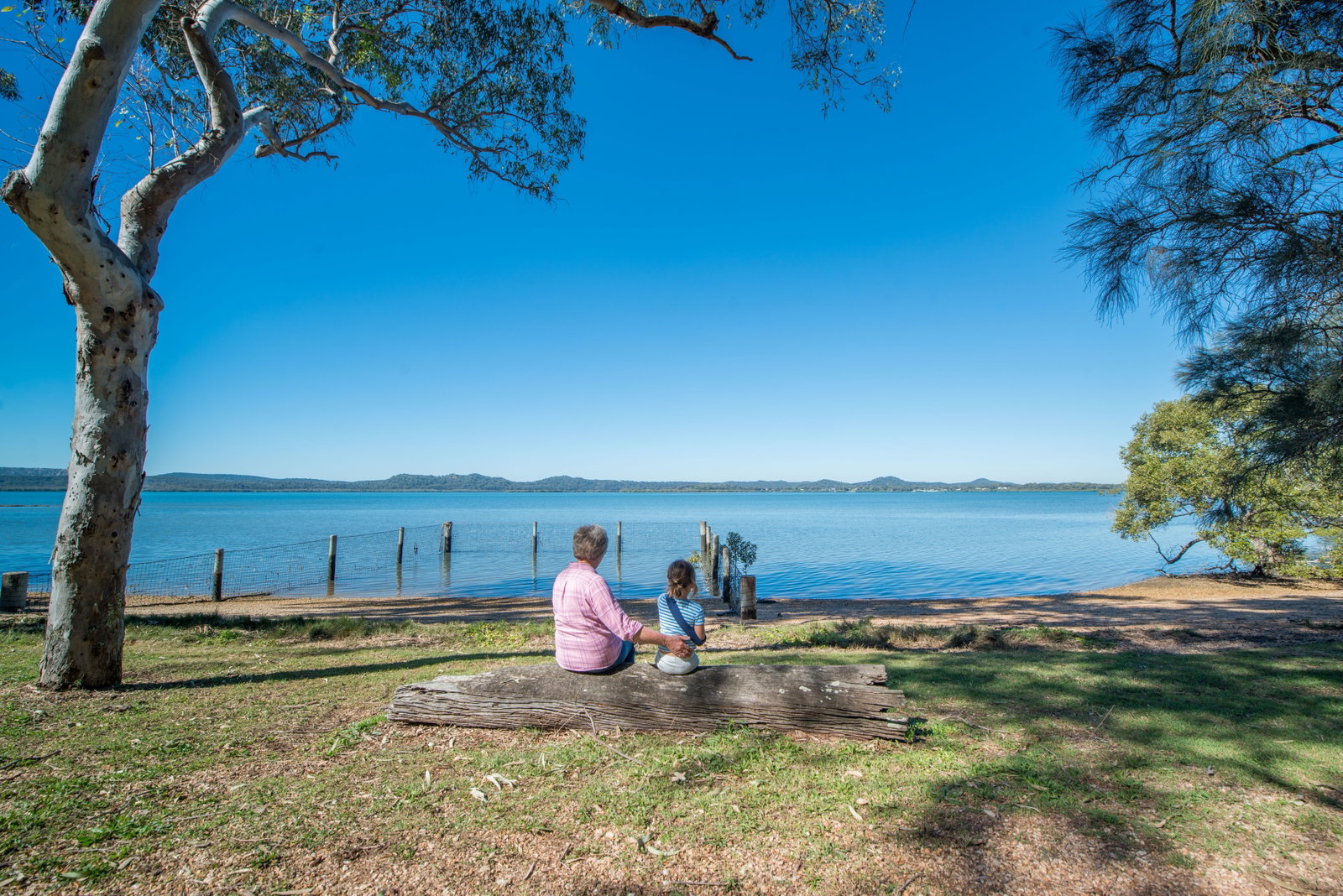 Lamb Island QLD Tourism Gold Coast