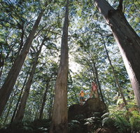 Leeuwin-Naturaliste National Park - Leeuwin - Tourism Gold Coast