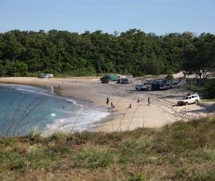 Little Bondi Beach - Tourism Gold Coast 2