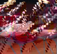 Loviz Arts Gallery - Tourism Gold Coast