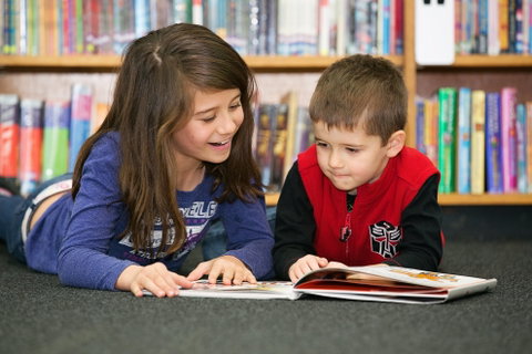 Maitland City Library - Tourism Gold Coast 0