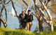 Manly To Spit Bridge Scenic Walkway - thumb 2