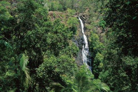 Mapleton Falls National Park - Tourism Gold Coast 0