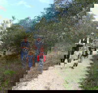 Meningie Lions Walking Trail - Tourism Gold Coast