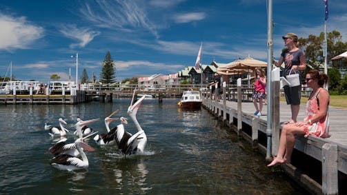 Metung VIC Tourism Gold Coast