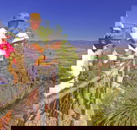 Moogerah Peaks National Park - Gold Coast