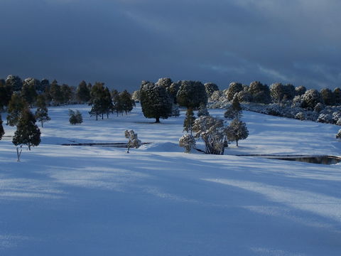 Mountain Vista Golf Club - Tourism Gold Coast 2