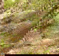Mount Carnarvon Walking Track - Tourism Gold Coast