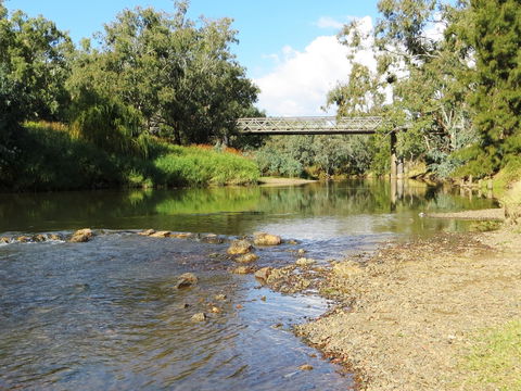 Namoi River And Woolshed Reserve - Tourism Gold Coast 0