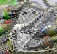 Nelly's Niche - Tourism Gold Coast