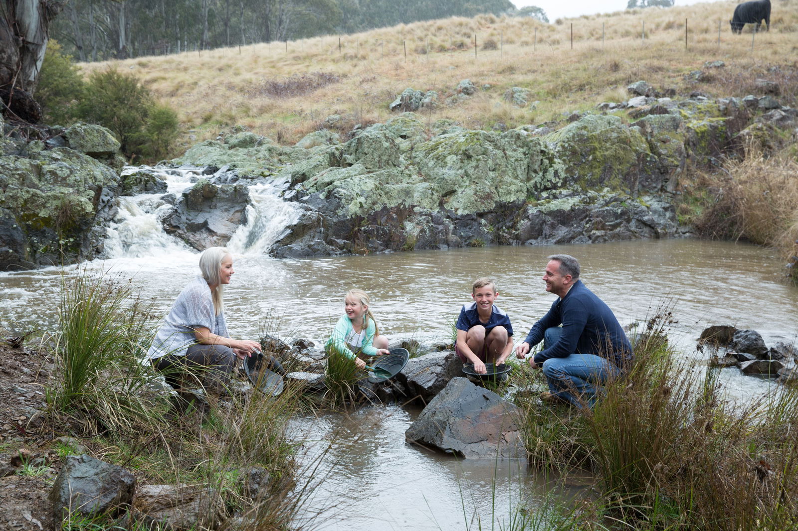 Dungowan NSW Tourism Gold Coast