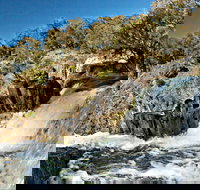 Oxley Walking Track - Tourism Gold Coast