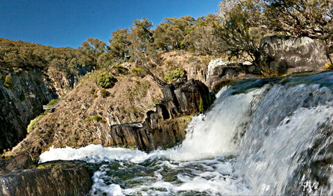 Oxley Walking Track - Tourism Gold Coast 0