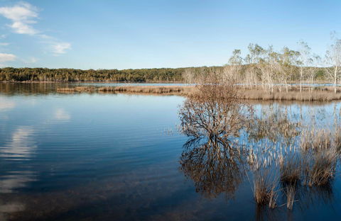 Pattimores Lagoon - Tourism Gold Coast 0