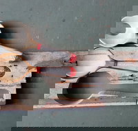 Phoenix Creations - Gold Coast