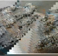 Pioneer Valley Museum - Tourism Gold Coast