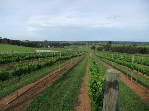 Razorback, Cawdor, Camden Park - Tourism Gold Coast 0