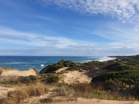 Rye Ocean Beach - Tourism Gold Coast 0