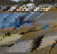 Sculpture Trail at Lake Crackenback Resort and Spa - Tourism Gold Coast