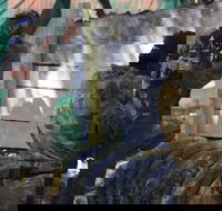 Skirmish Sunshine Coast Outdoor Paintball - Tourism Gold Coast