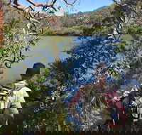 Sphinx Memorial to Bobbin Head Loop Track - Tourism Gold Coast