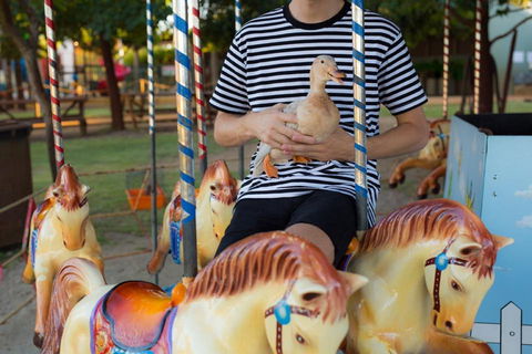 Swan Valley Cuddly Animal Farm - Tourism Gold Coast 2