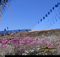 Talgomine Reserve - Tourism Gold Coast