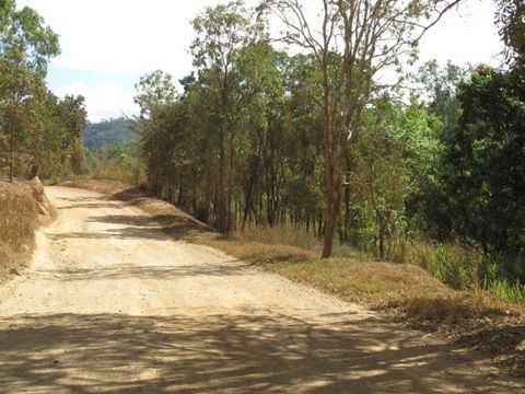 The Bloomfield Track - Tourism Gold Coast 0