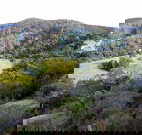 The Bellbird - Tourism Gold Coast