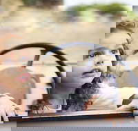 Toddler Thursdays at Werribee Open Range Zoo - Tourism Gold Coast