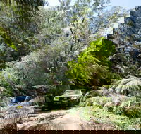 Wadbilliga Road drive - Tourism Gold Coast