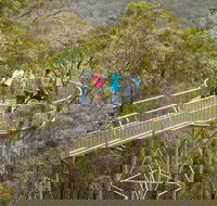 Walpole Wilderness Discovery Centre - Tourism Gold Coast