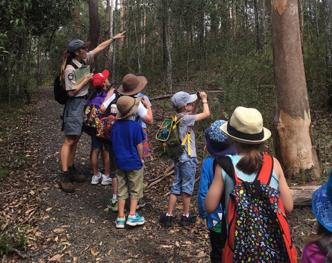 Walkabout Creek Discovery Centre - Tourism Gold Coast 1