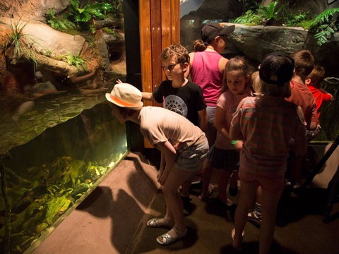 Walkabout Creek Discovery Centre - Tourism Gold Coast 2