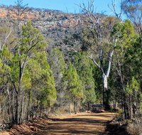 Weddin Gap to Black Spring Loop Trail - Tourism Gold Coast